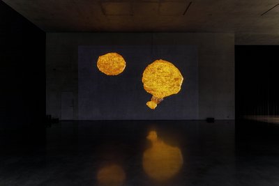 Solange Pessoa, Ausstellungsansicht Erdgeschoss Kunsthaus Bregenz, 2023