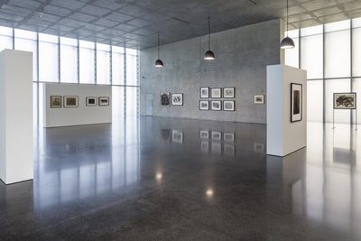 Ausstellungsansicht Erdgeschoss Kunsthaus Bregenz, 2024